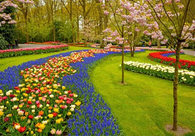Gardening Club